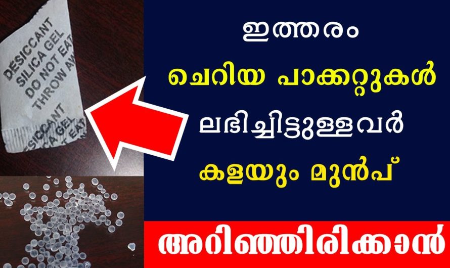 വിഷമല്ല ഈ കുഞ്ഞു ബാഗുകൾ അതുകൊണ്ട് പേടിക്കേണ്ട.