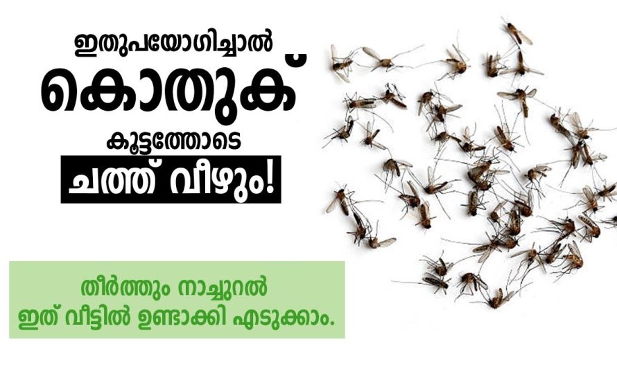 കൊതുക് ഇനി നിങ്ങളുടെ വീടിന്റെ പരിസരത്തുപോലും വരില്ല.