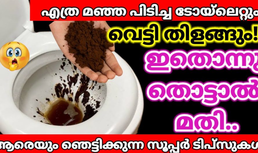 ഇനിയെങ്കിലും കാപ്പിപ്പൊടി ഇങ്ങനെ കാപ്പി വെച്ച് അവസാനിപ്പിക്കല്ലേ.