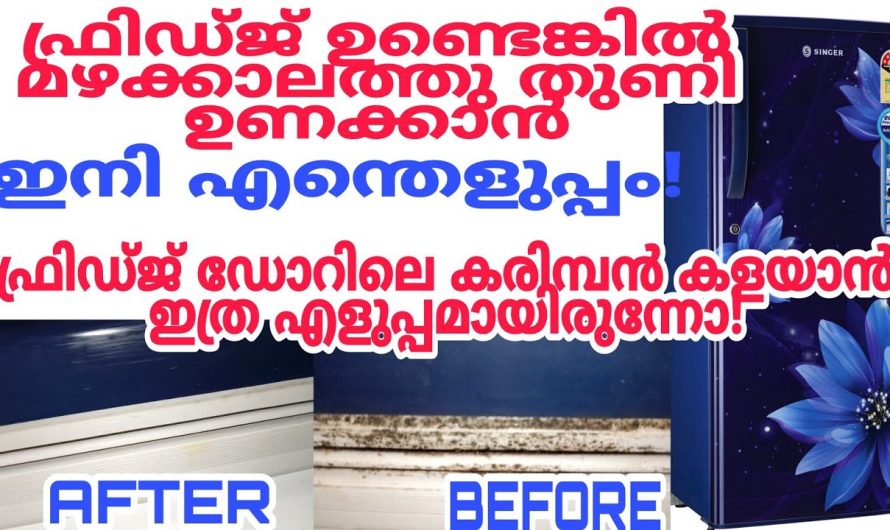 എത്ര പഴയ ഫ്രിഡ്ജിൽ ഇനി പുതുപുത്തനായി തന്നെയിരിക്കും.