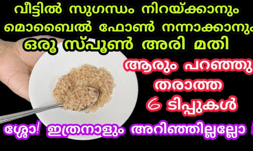 അരി കൊണ്ട് ഇങ്ങനെയും ചില കാര്യങ്ങളുണ്ട് നിങ്ങൾക്ക് അറിയാമോ