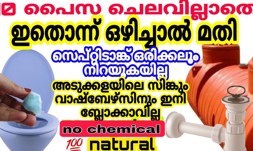 ചിലവില്ലാത്തതുകൊണ്ടല്ല അല്ലെങ്കിലും നിങ്ങൾ ഇത് ഇഷ്ടപ്പെടും