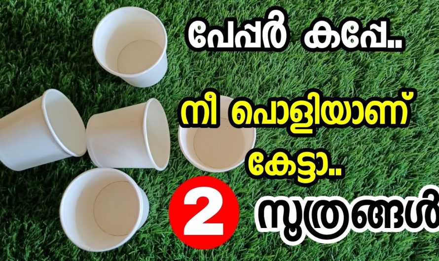 ആവശ്യം കഴിഞ്ഞാൽ ഇനി ആരും പേപ്പർ ഗ്ലാസ് കളയുല്ല.