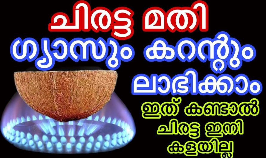 ഇത് അവിശ്വസനീയം തന്നെ ഇത്രയും വലിയ ഒരു അത്ഭുതം നിങ്ങൾ കണ്ടിട്ടുണ്ടോ