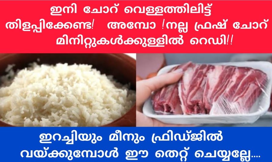 എത്ര നാൾ കഴിഞ്ഞാലും ഇനി ഇറച്ചി ഫ്രിഡ്ജിൽ ഫ്രഷ് ആയി തന്നെ ഇരിക്കും.