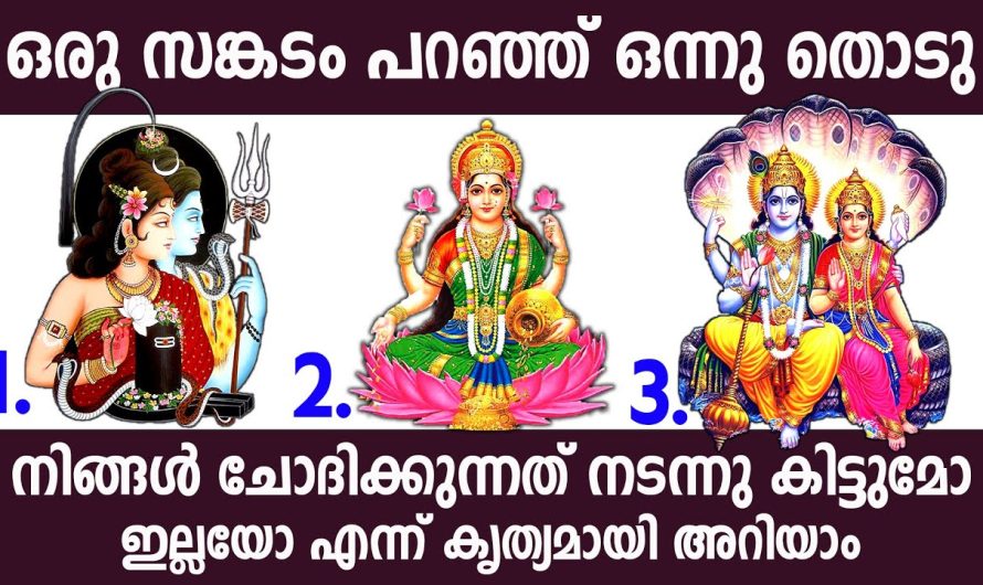 ഇതിലൊന്ന് തൊട്ടു നോക്കിയെ നിങ്ങൾ അതിശയിക്കും തീർച്ചയാണ്