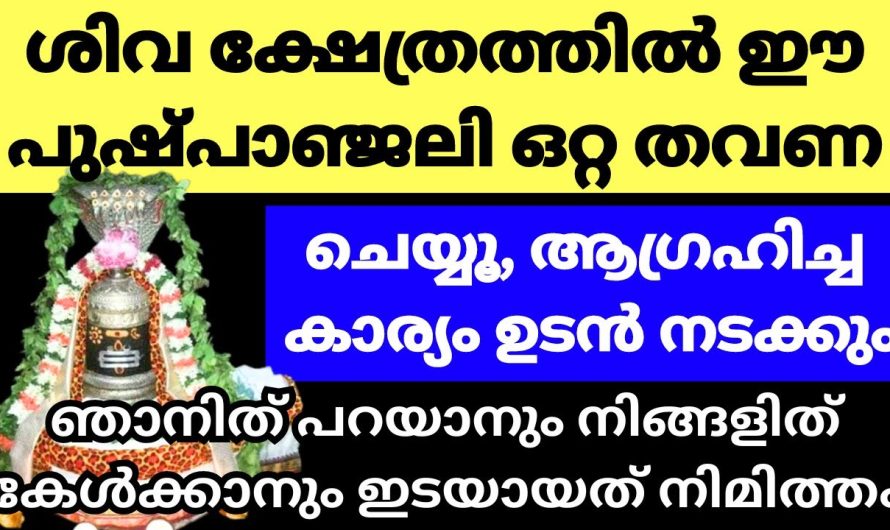 ഈ ഒരു ഒറ്റ കാര്യം നിങ്ങളുടെ ജീവിതം തന്നെ മാറ്റും.