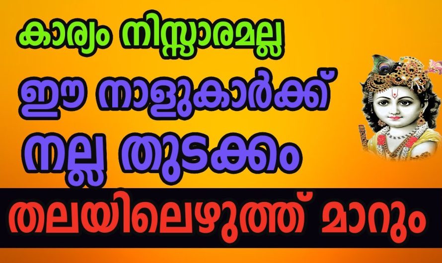 നിസ്സാരമല്ല ചിലപ്പോൾ വരാൻ പോകുന്നത് ഇതിലും വലുത് ആയിരിക്കാം.