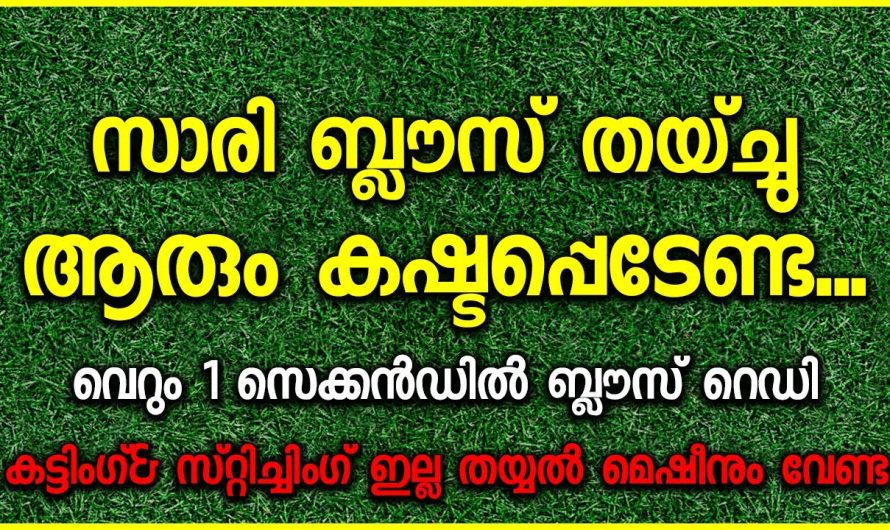 ഇനി ബ്ലൗസ് ഇല്ലെങ്കിലും സാരിയുടുക്കാം, ഭാര്യയുടെ കൂടെ ഇനി ഇത് ഇട്ടാലോ.