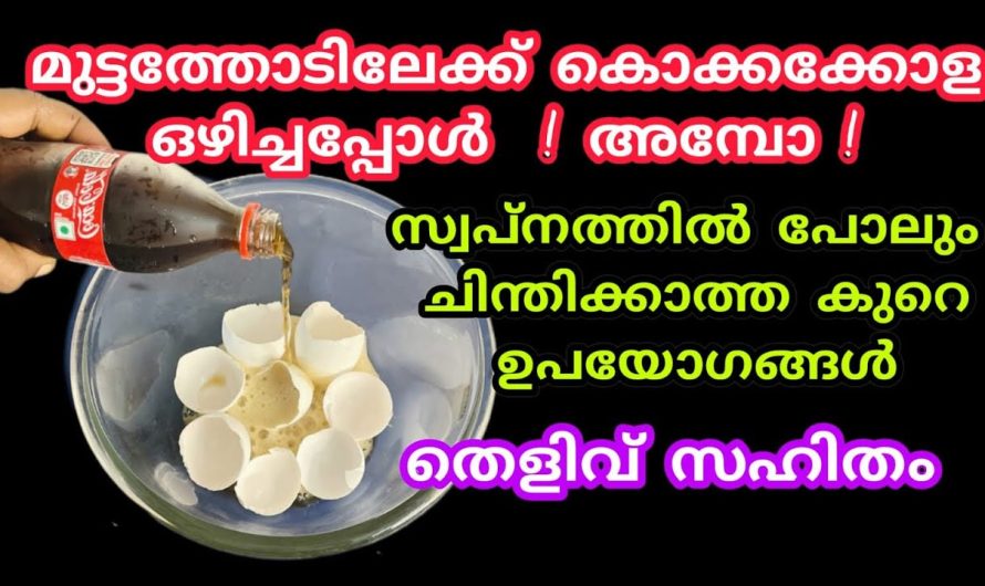 ഇതറിഞ്ഞില്ലെങ്കിൽ പിന്നെ നിങ്ങൾ എന്ത് അറിഞ്ഞിട്ടും കാര്യമില്ല.