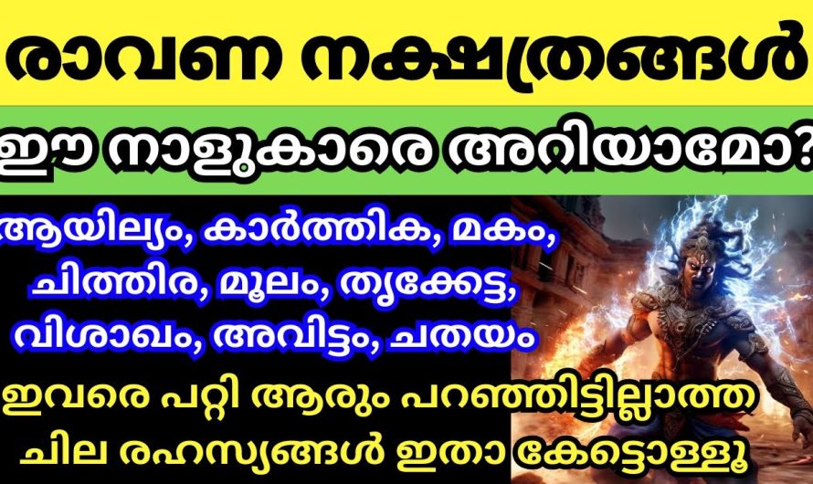 ഈ രാവണ നക്ഷത്രങ്ങൾ നിങ്ങളുടെ വീട്ടിൽ ഉണ്ടോ