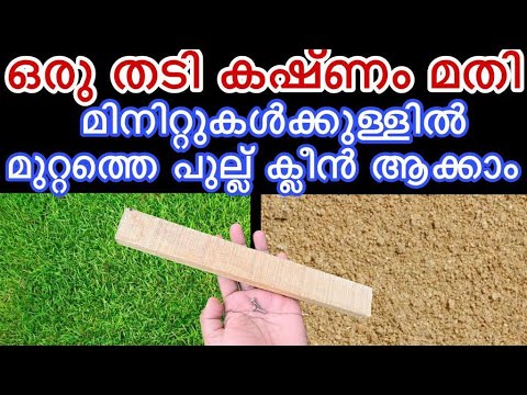 നിങ്ങൾ എത്ര ശ്രമിച്ചിട്ടും നടക്കാത്തത് ഇനി ഇതുണ്ടെങ്കിൽ നടക്കും