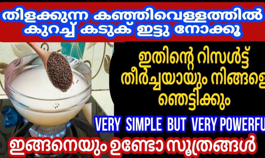 കഞ്ഞി വെള്ളത്തിന്റെ ഈ മാജിക് നിങ്ങൾക്കും കാണണോ