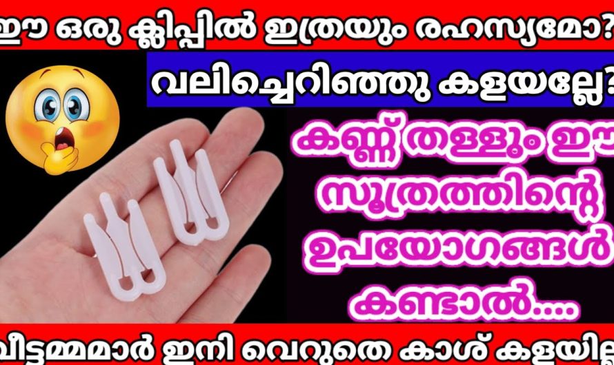 ഒന്നും അങ്ങനെ കളയാൻ ഉള്ളതല്ലേ എന്ന് ഇതു കണ്ടാൽ മനസ്സിലാകും