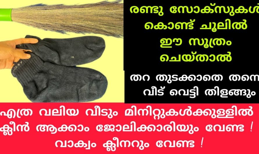 പഴയ സോസുകൾ കളയും മുൻപ് നിങ്ങളും ഇത് അറിയു