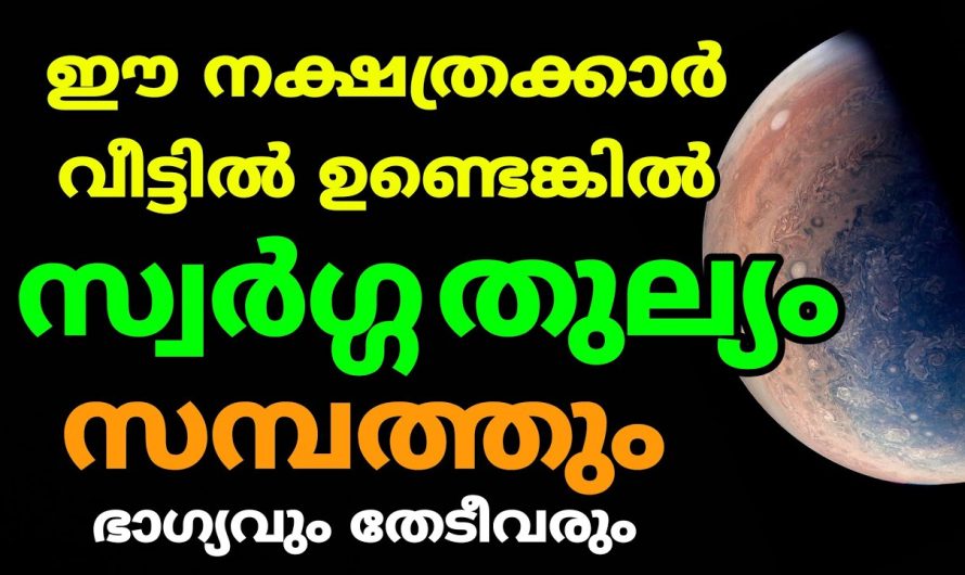 വീട്ടിൽ ഇവർ ഉണ്ടെങ്കിൽ നിങ്ങളുടെ ജീവിതവും പച്ച പിടിക്കും