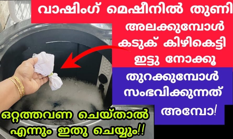 ഇനി കടുകിട്ട് തുണി അലക്കിയാലോ,ഒന്നു ട്രൈ ചെയ്യൂ