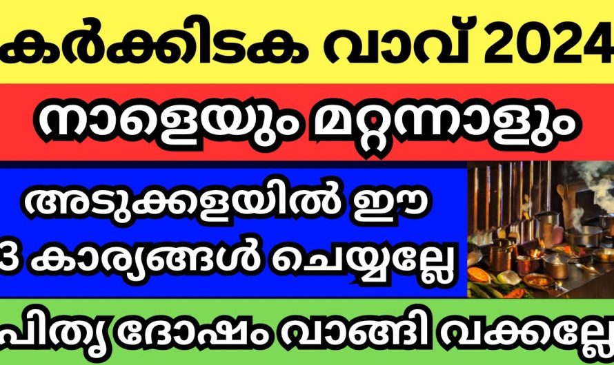 ഈ വാവ് ദിനങ്ങളിൽ ഇത്രയെങ്കിലും ശ്രദ്ധിച്ചു കൂടെ