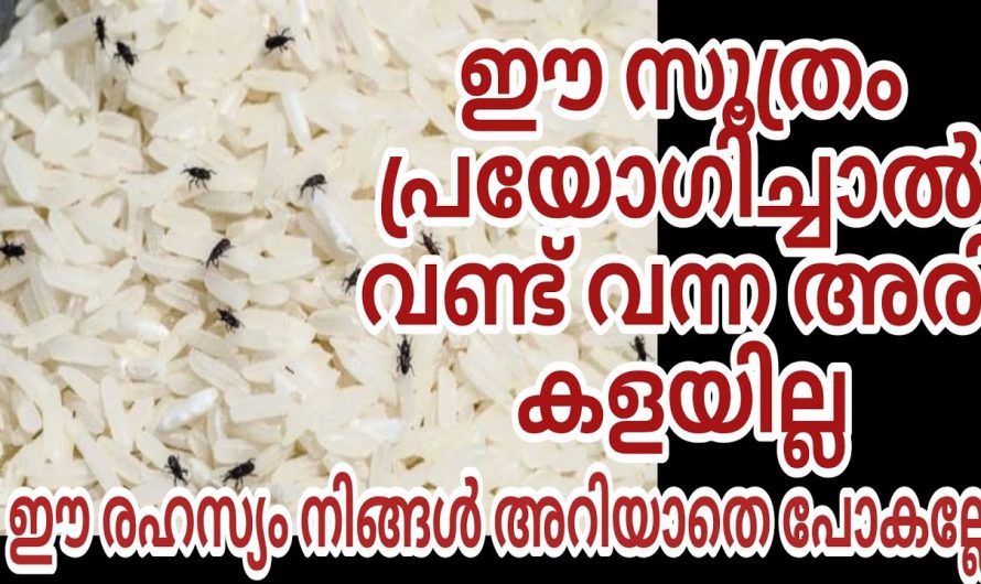 ഇനി നാളുകൾ കഴിഞ്ഞാലും ഒന്നും കേടുവന്നു പോകില്ല