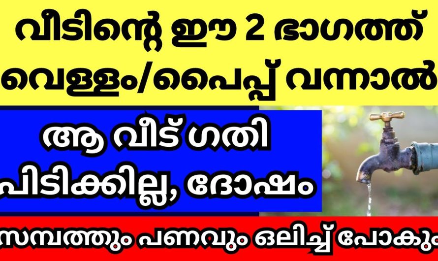 എന്ത് ചെയ്താലും ഇങ്ങനെയാണ് എങ്കിൽ പിന്നെ പറഞ്ഞിട്ട് കാര്യമില്ല