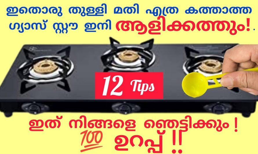 ഇതൊരെണ്ണം ഉണ്ടെങ്കിൽ ഇനി ഗ്യാസിന്റെ കാര്യത്തിൽ ഒരു പേടിയും വേണ്ട