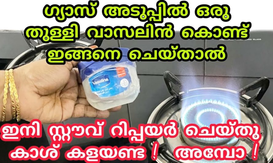 ഇനി കൊണ്ട് എന്താണ് നടക്കാത്തത്, ഒന്നു ട്രൈ ചെയ്താൽ ആരും ആഗ്രഹിക്കും