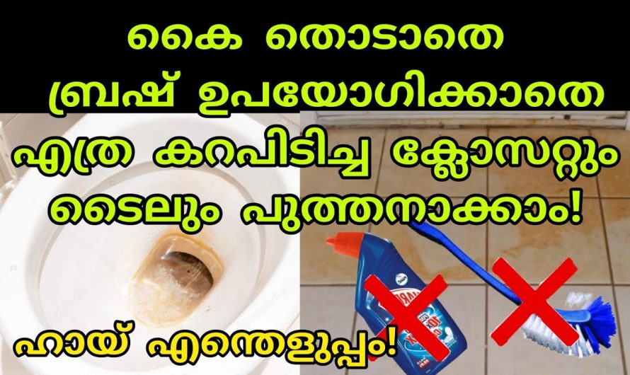 ബ്രഷ് കൊണ്ട് തൊടുക പോലും വേണ്ട മുഴുവൻ കറയും പോകും