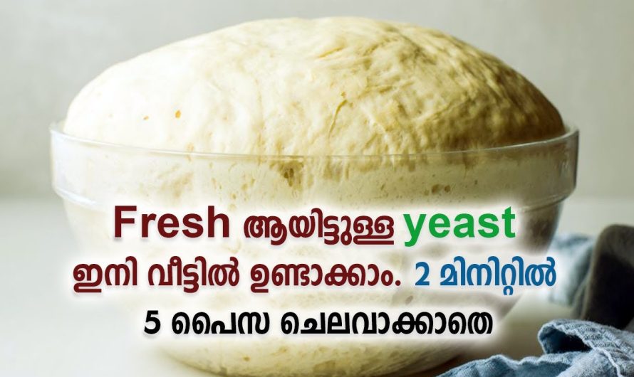 ഇതുള്ളപ്പോൾ ഇനി എന്തിനെ വിഷമിക്കണം