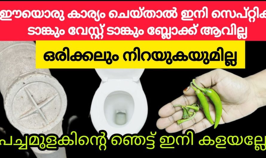 ബ്ലോക്ക് മാറ്റാൻ ഇനി ഒരു അല്പം മധുരം ആയാലോ