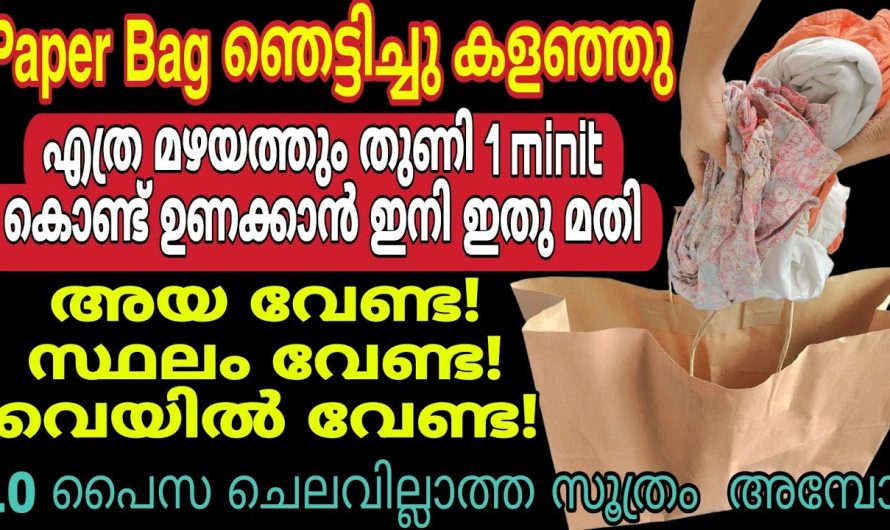 ഈ പേപ്പർ ബാഗിനകത്ത് നിങ്ങൾ പ്രതീക്ഷിക്കാത്ത ഒരു സർപ്രൈസ്