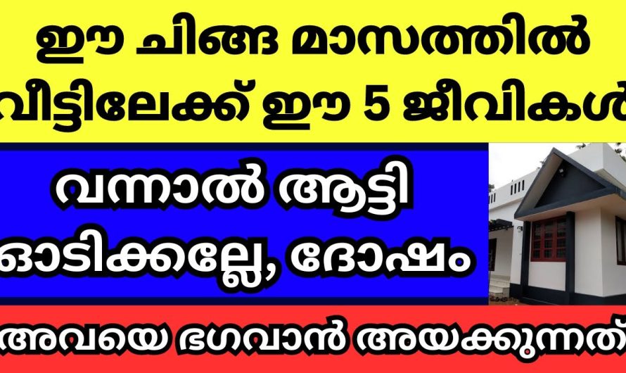 ചിങ്ങമാസത്തിൽ ഈ പക്ഷികൾ വീട്ടിൽ വന്നാൽ സംഭവിക്കുന്നത്