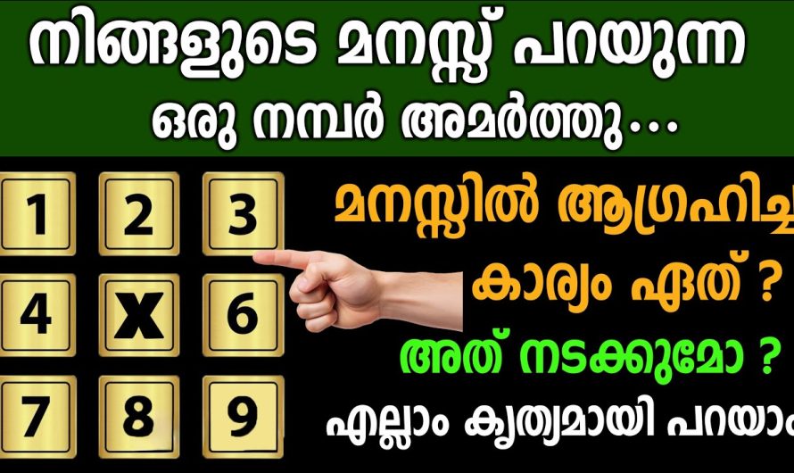 ജീവിതത്തിൽ ഒരിക്കലും മറക്കാനാകാത്ത അനുഭവം ഈ സംഖ്യകൾ നിങ്ങൾക്ക് നൽകും