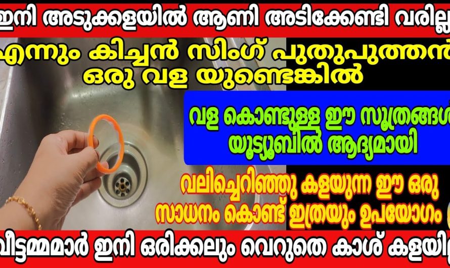 ചുമരിൽ ആണി അടിക്കേണ്ട പകരം വളമതി