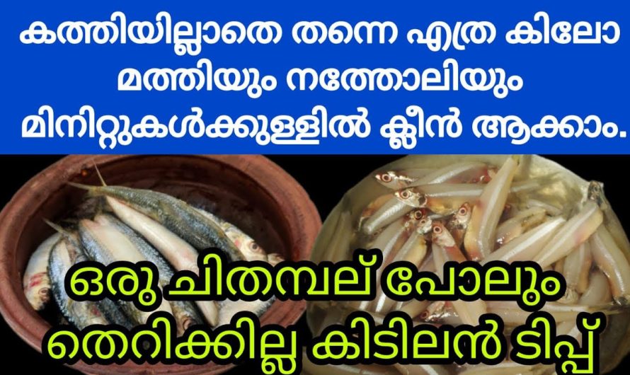 എത്ര ചിതംഭൽ ഉണ്ടെങ്കിലും ഇനി നിസ്സാരസമയം മതി ഇതിനൊക്കെ