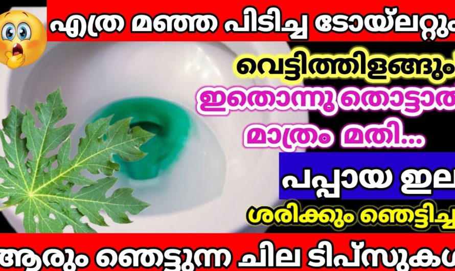 ഇക്കാര്യം അറിഞ്ഞാൽ നിങ്ങളും ഇനി ഇത് നിധി പോലെ സൂക്ഷിക്കും