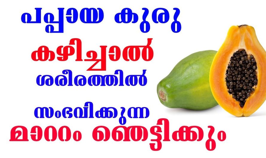 പപ്പായ കുരു കഴിച്ചാൽ സംഭവിക്കുന്നത് അറിയാമോ