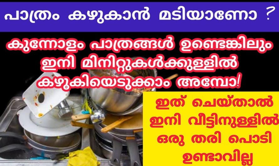 ഒരു ലോഡ് പാത്രവും കഴുകിയെടുക്കാൻ ഇനി എന്തെളുപ്പം