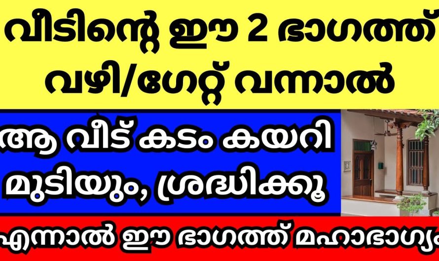 നിങ്ങളുടെ വീട്ടിലും മതിലും ഗേറ്റും ഇപ്പോഴും ഇങ്ങനെയാണോ