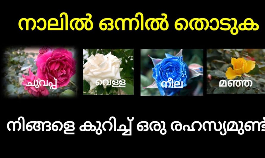 നിങ്ങൾ എന്താണ് ആഗ്രഹിച്ചത് അതറിയാൻ ഇനി എവിടെയും പോകണ്ട