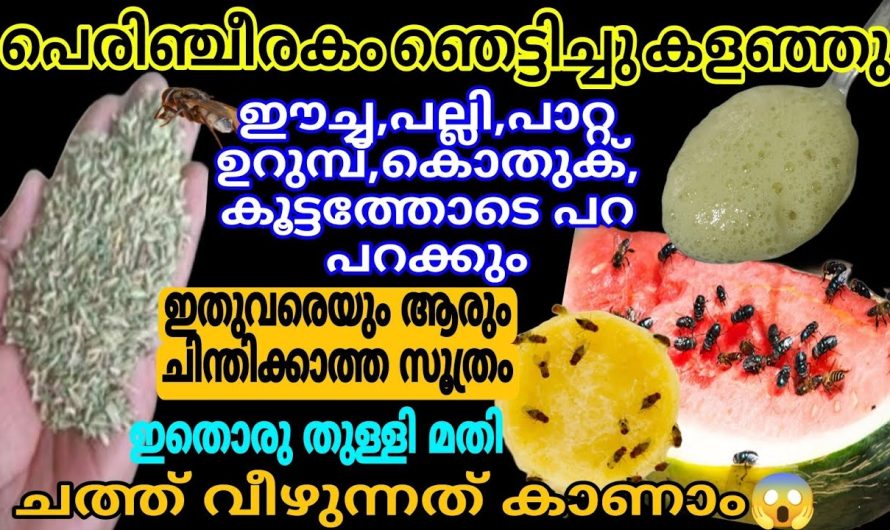 ഇത്രയും റിസൾട്ട് ഉള്ള ഒരു രീതി വേറെ ഇല്ല