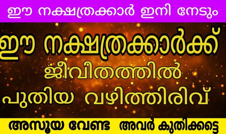 ഇനി ഇവർ പലതും നേരും എന്ന കാര്യത്തിൽ ഒട്ടും സംശയം വേണ്ട