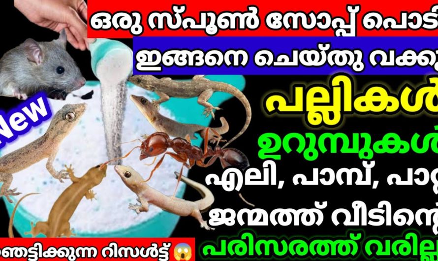 പണി കൊടുക്കുന്നുണ്ടോ ആദ്യം ഒന്ന് പറ്റിച്ചാലോ