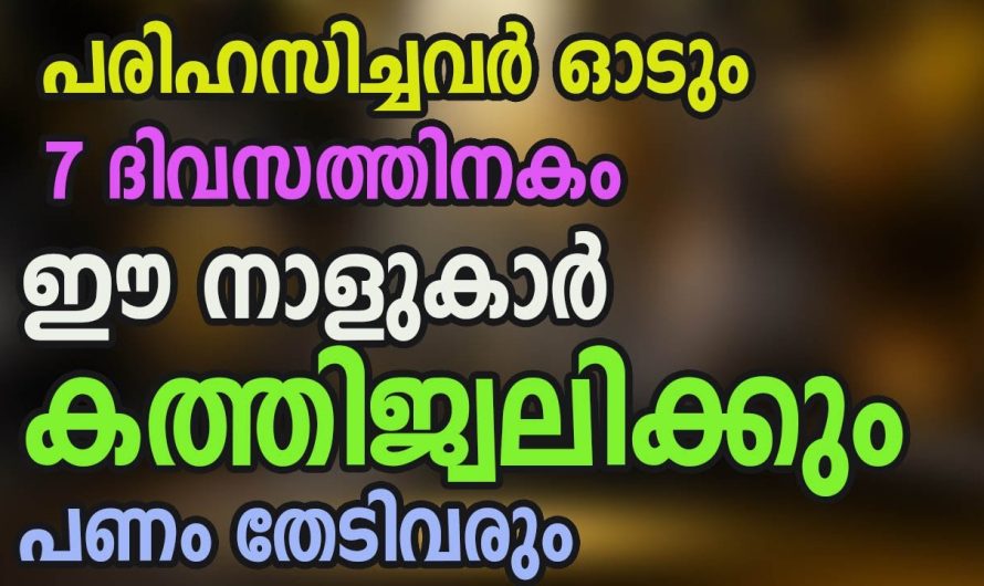 കുറ്റം പറഞ്ഞവരും പരിഹസിച്ചവരും ഇനി മാറ്റിപ്പറയും ഉറപ്പ്