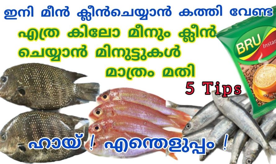 മീൻ വൃത്തിയാക്കുമ്പോൾ ഉള്ള ഏതു പ്രശ്നത്തിനും പരിഹാരവും ഉണ്ട്