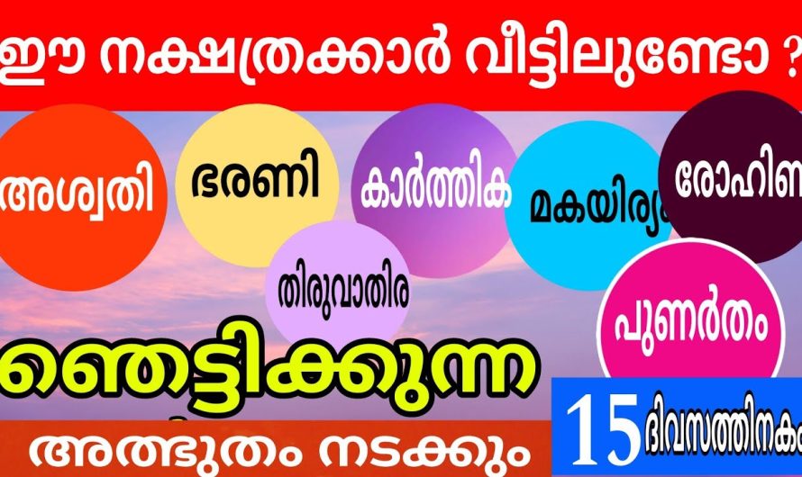 നിങ്ങളും ഇനി ഞെട്ടാൻ തയ്യാറായിക്കോളൂ