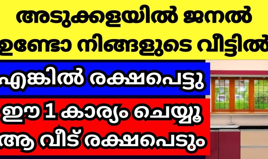 നിങ്ങളുടെ അടുക്കളയിലും ജനൽ ഇങ്ങനെയാണെങ്കിൽ പിന്നെ ഒന്നും ചെയ്തിട്ട് പ്രയോജനമില്ല