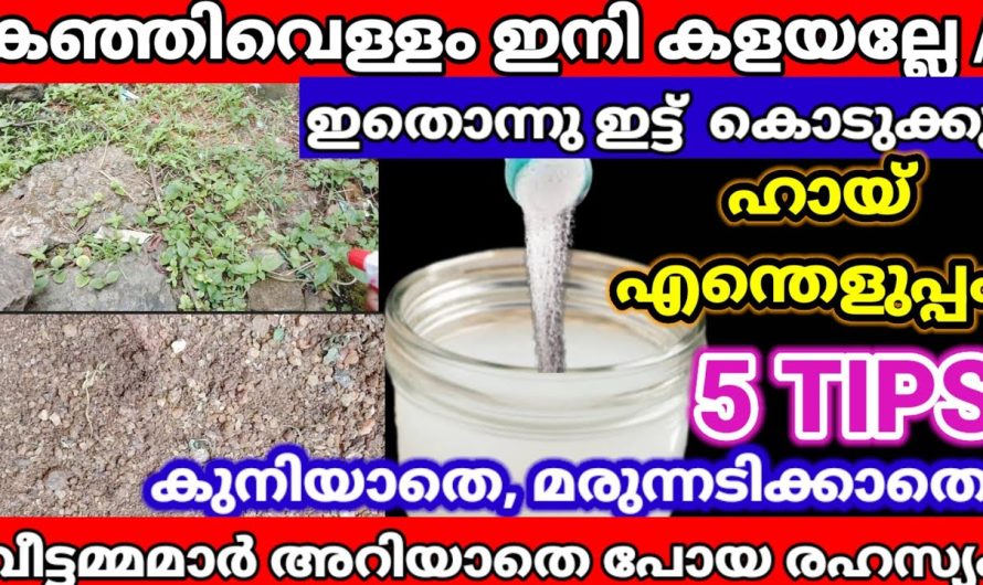 ഇനി ഇത് വെറും കഞ്ഞിവെള്ളം അല്ല സൂപ്പർഹീറോ ആണ്