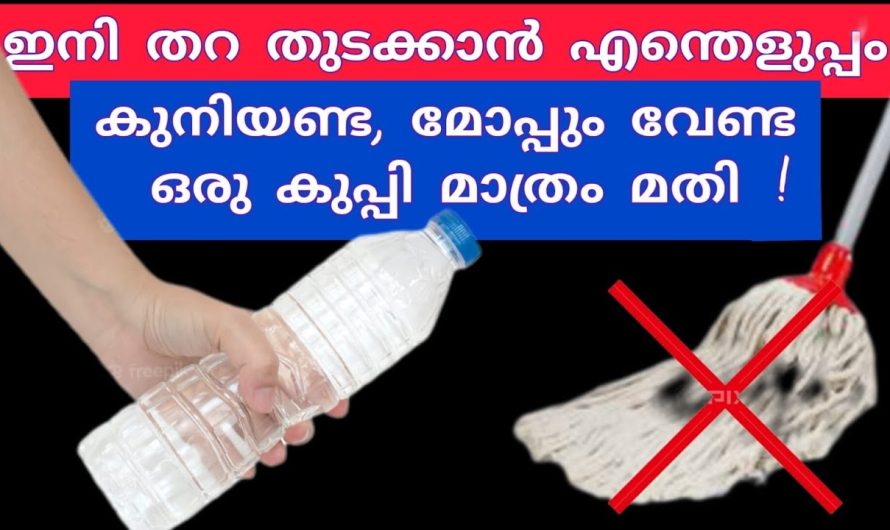 ഇനിയൊരു പ്ലാസ്റ്റിക് കുപ്പി ഉണ്ട് എങ്കിൽ വീട് വൃത്തിയാക്കാൻ എന്തെളുപ്പം