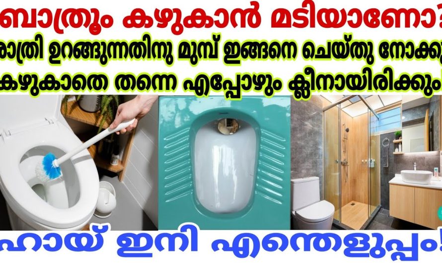 നിങ്ങൾക്കും കഴുകാതെ തന്നെ ബാത്റൂമിൽ വൃത്തിയാക്കണോ