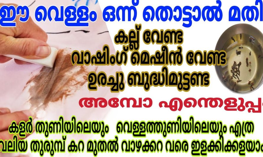 ഒരിക്കൽ ട്രൈ ചെയ്താൽ നിങ്ങളും ഇഷ്ടപ്പെട്ടു പോകും